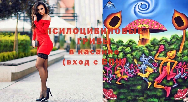 прущие крисы Нефтекумск