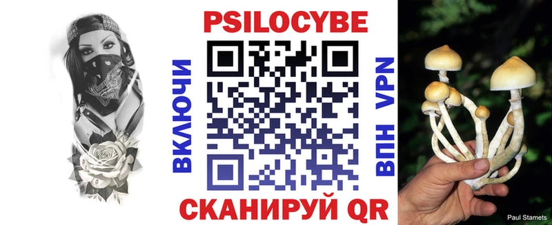 где продают   Йошкар-Ола  Псилоцибиновые грибы мухоморы 