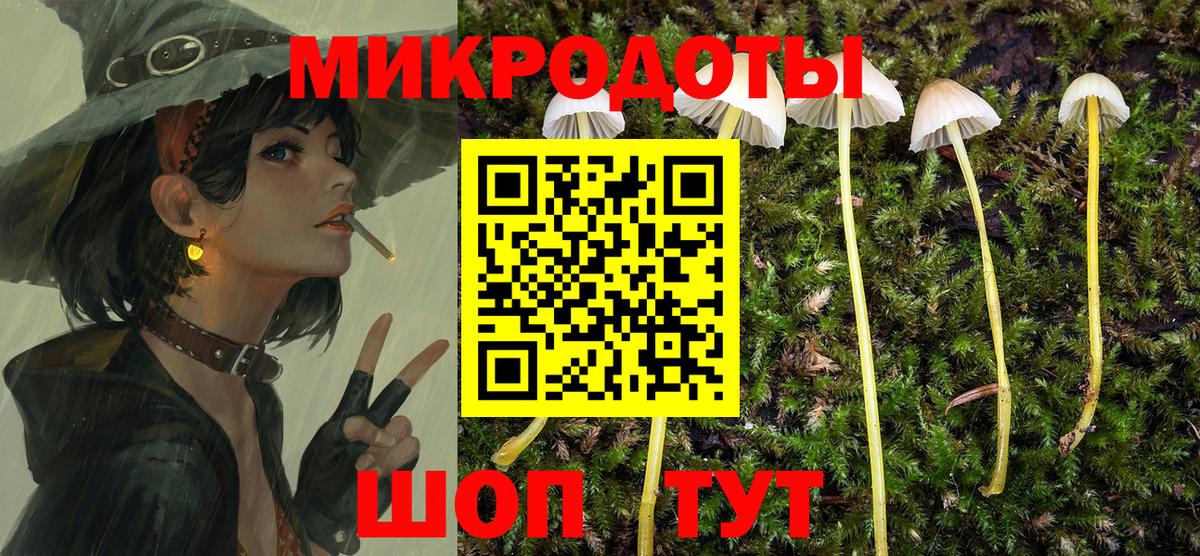 Йошкар-Ола  Галлюциногенные грибы Magic Shrooms  где продают наркотики  Вход с VPN 